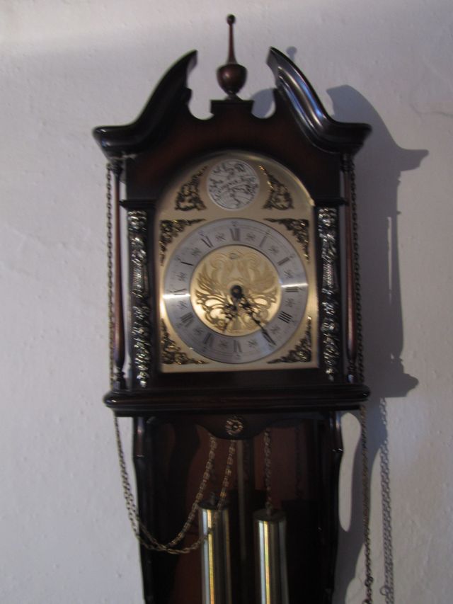 Reloj de pared - Tempus Fugit