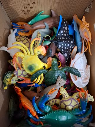 Animali assortiti nuovi