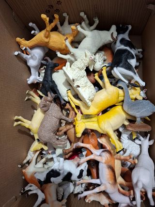 Animali assortiti nuovi