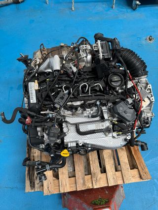 Motor completo ref: DTS 2.0 Tdi Skoda VW Audi