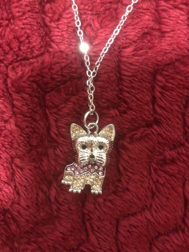 colgante Terrier mas cadena
