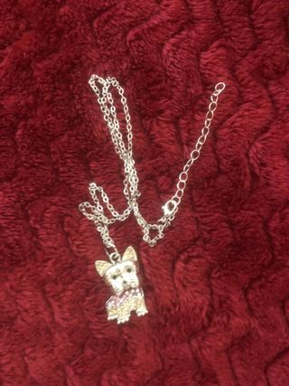 colgante Terrier mas cadena