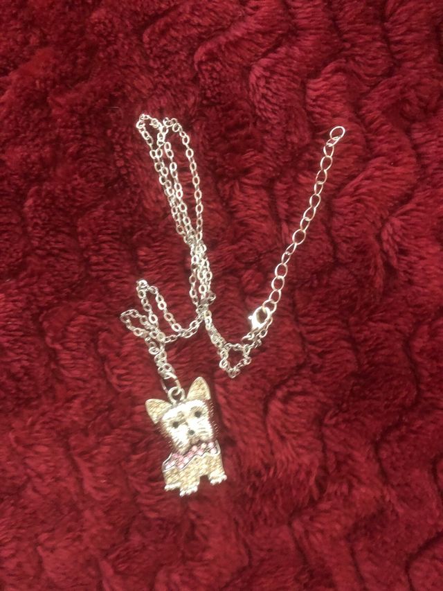colgante Terrier mas cadena
