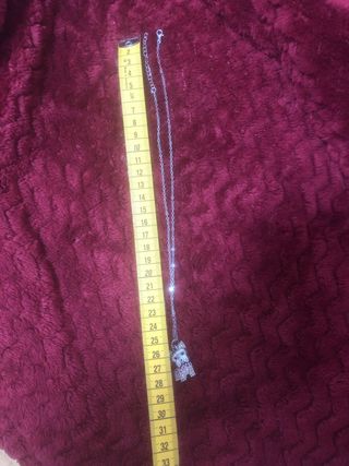 colgante Terrier mas cadena