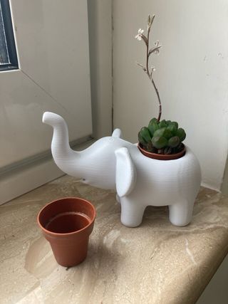 Elefante Vasetto Decorativo stampa 3D