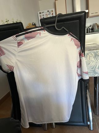 Camiseta Japon One piece