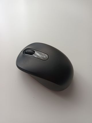 Ratón 
