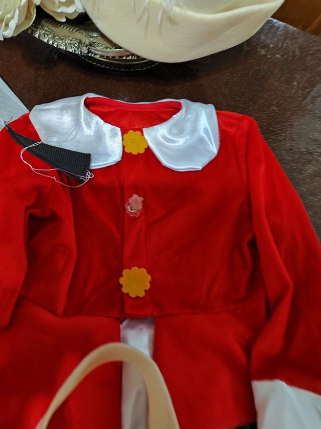 Vestito di carnevale pinocchio