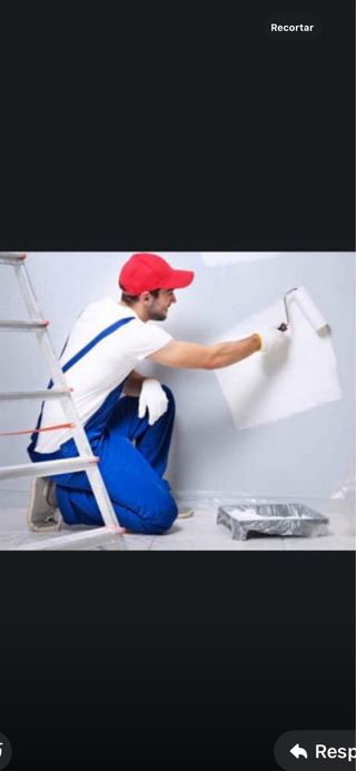 Pintor y manitas a Domicilio economico