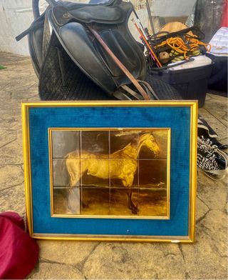 Cuadro caballo