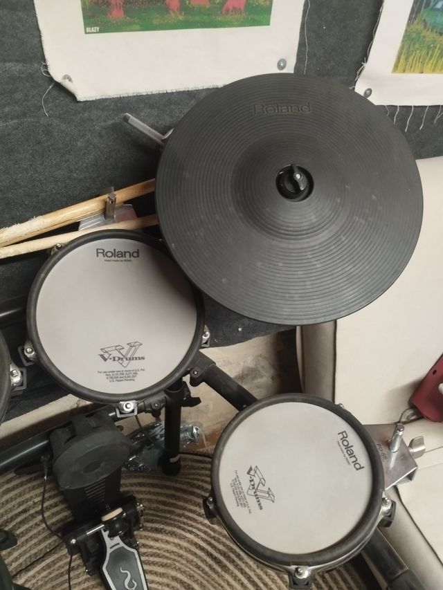 Bateria elèctrica Roland