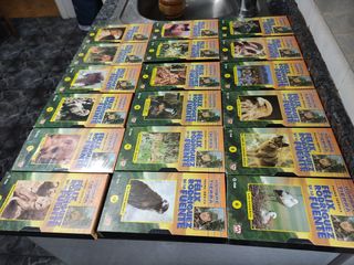 VHS,18 películas de Félix Rodríguez de l