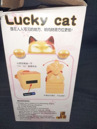 Modello Gatto della fortuna orientale Maneki neko