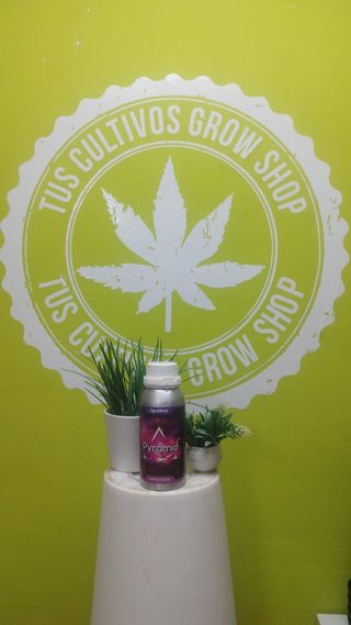 PYRAMID 600ML AGRO BETA