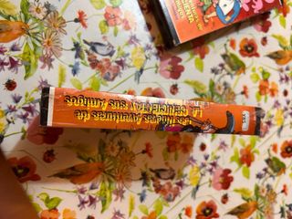 Las nuevas aventuras de cenicienta y sus amigos