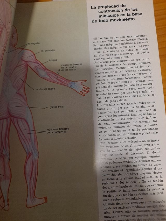 El hombre su cuerpo y su espiritu