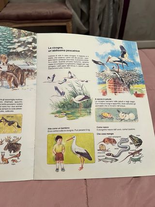 Libro il lupo e la cicogna e altre favole