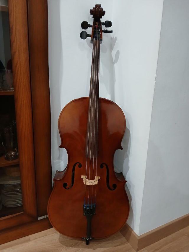 Violonchelo
