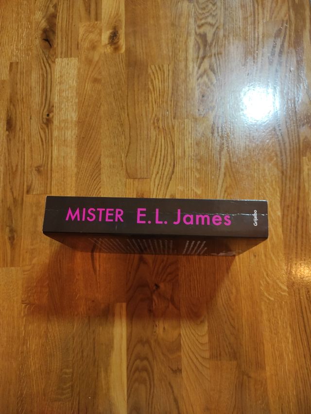Mister (edición en castellano) (Mister 1)