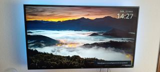Tv LG 49"