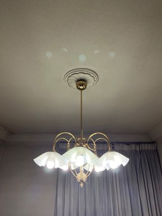 Lampara techo tulipas