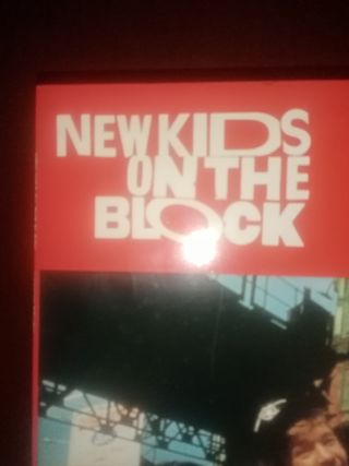 Vinile New kids on the block