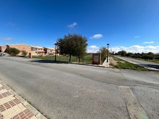 Solar terreno la palma la uva el trigo