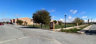 Solar terreno la palma la uva el trigo