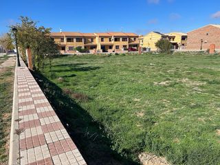 Solar terreno la palma la uva el trigo