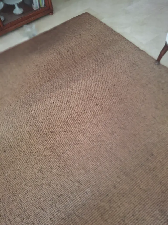 Alfombras fibra de coco 195x250 180x250