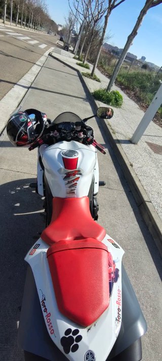 Yamaha r1 2007