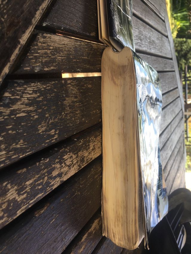 Libro de servicio mercedes w205 clase c