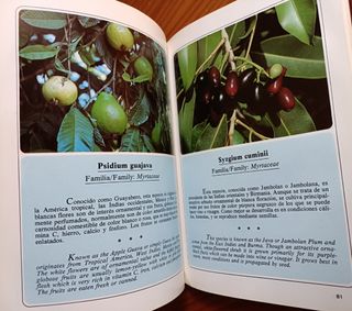 Jardines de Canarias III