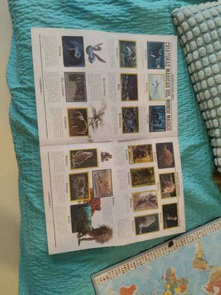 Album cromos mágico Harry Potter