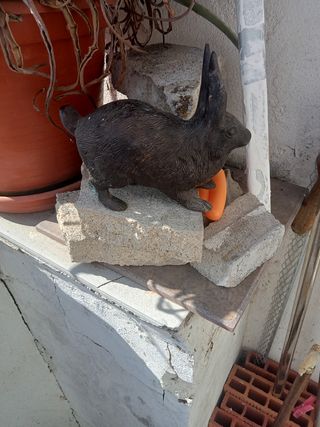 Conejo bronce