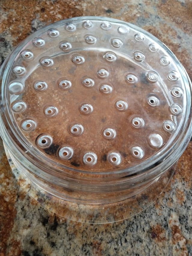 Escurridor de cristal