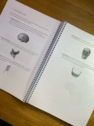 Libro apuntes TSID 1