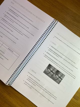 Libro apuntes TSID 1