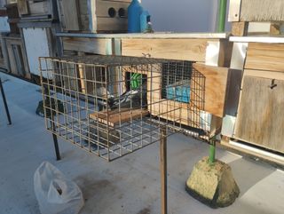 5 Cajónes palomas exterior terrazas