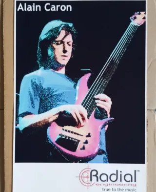 Laminas guitarristas famosos