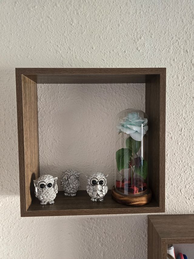 Estanterías de cubo roble oscuro