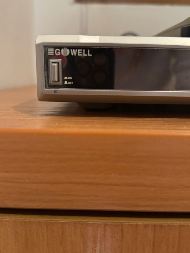 Reproductor DVD Go Well