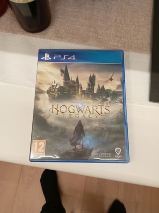 Hogwarts legacy ps4
