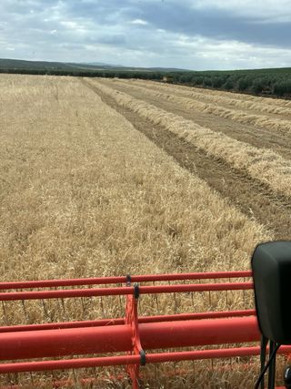 Manuales Claas Lexion 600