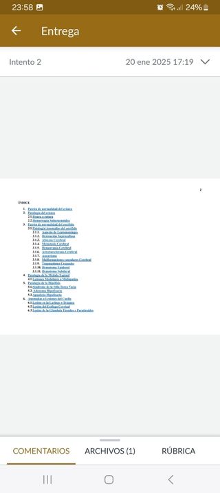 APUNTES ANATOMÍA PATOLÓGICA Y CITODIAGNÓ