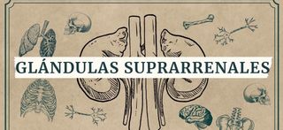 APUNTES ANATOMÍA PATOLÓGICA Y CITODIAGNÓ