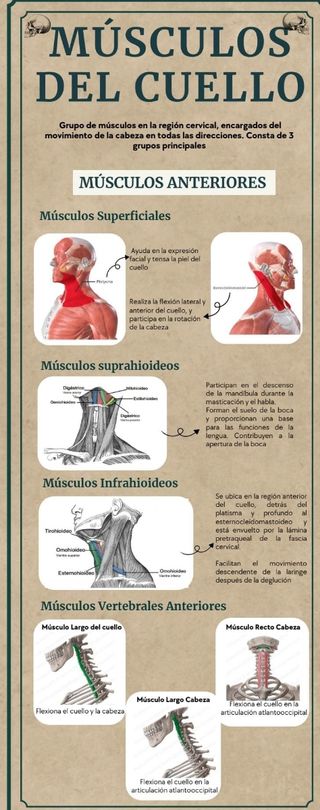 APUNTES ANATOMÍA PATOLÓGICA Y CITODIAGNÓ