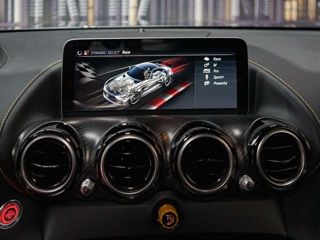 Mercedes-Benz Mercedes-AMG GT Mercedes-AMG GT R