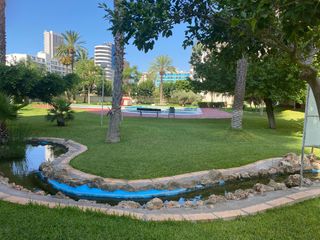 Benidorm Alquiler vacacional ccionala