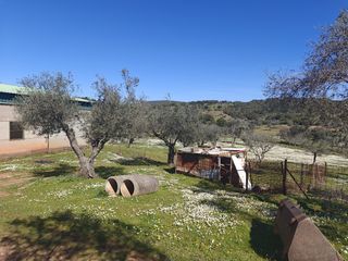 Finca de 20 hectáreas